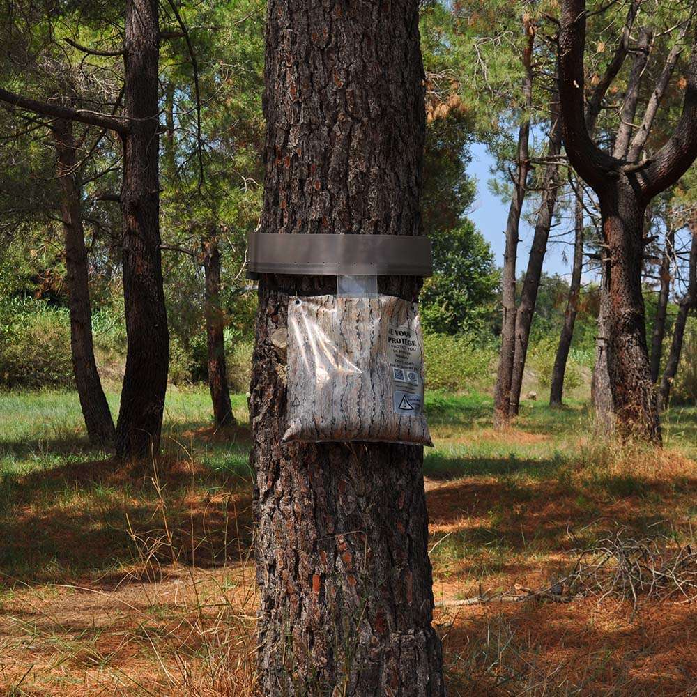 Trappole Per Processionarie Del Pino EVERGREEN NATUREN - Eco-Friendly - Foto 10