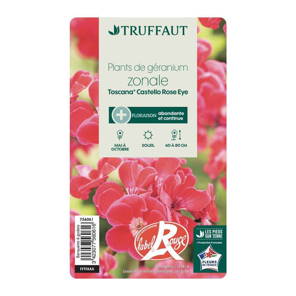 Géranium zonale 'Toscana® Castello Rose Eye' Label Rouge : 6 plants