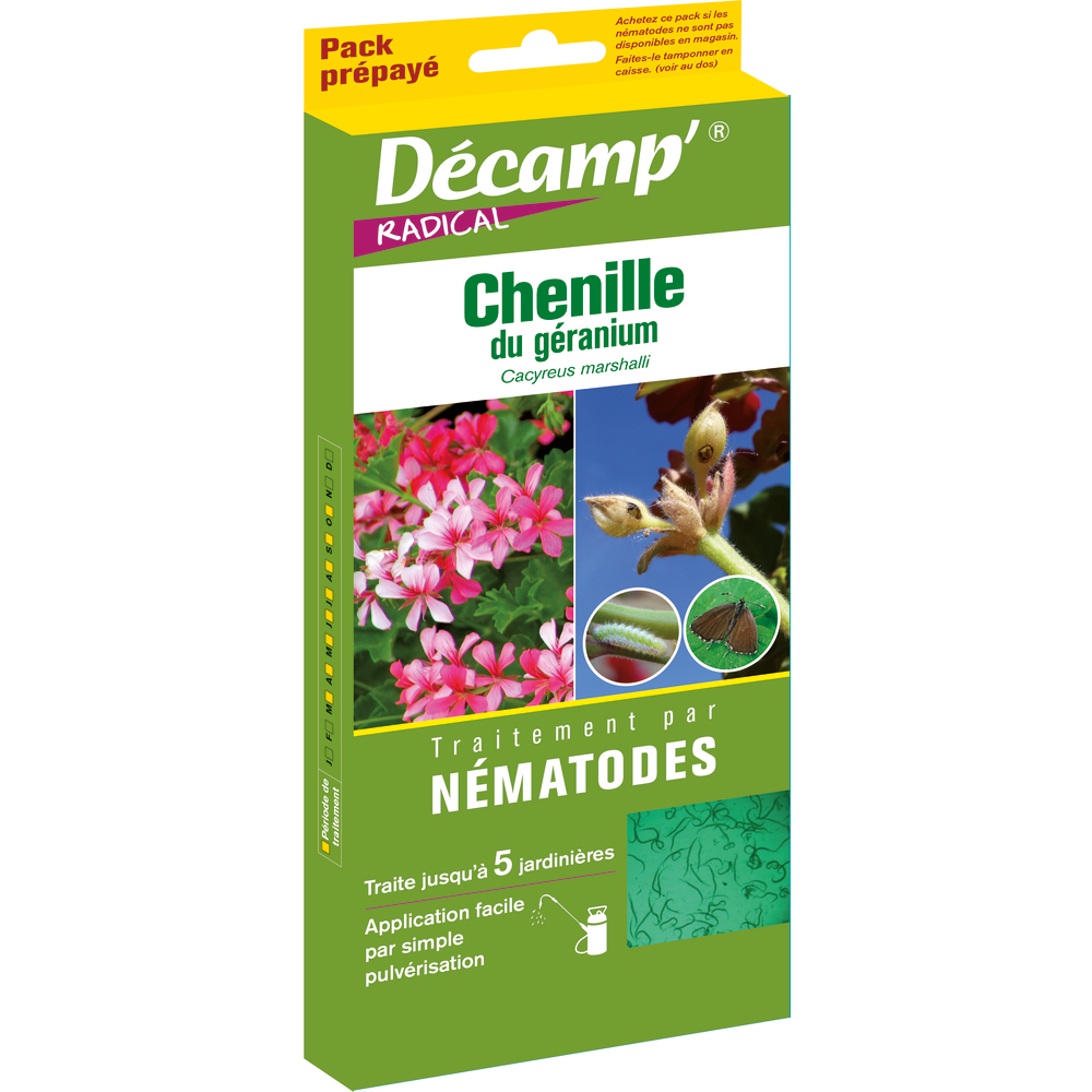 Traitement contre la chenille du géranium