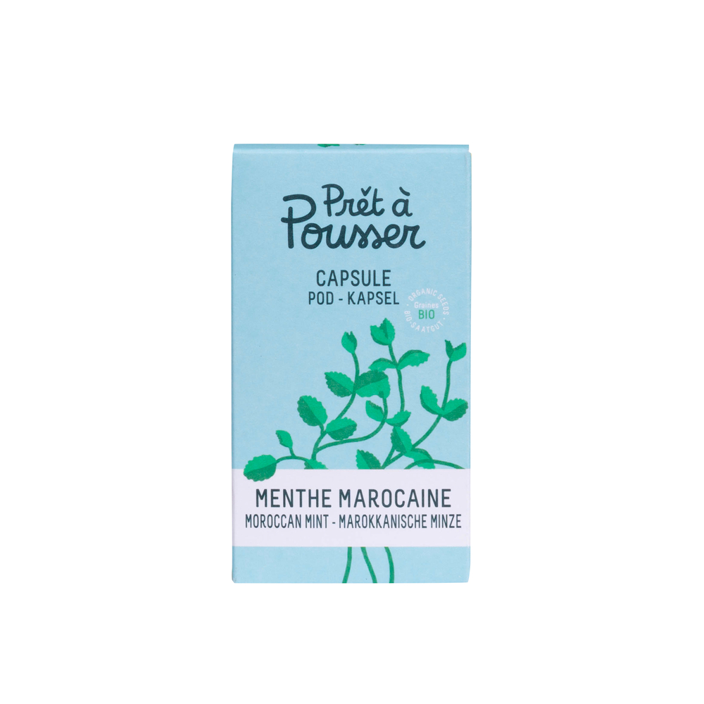 CAPSULE LILO MENTHE MAROCAINE-(757045)