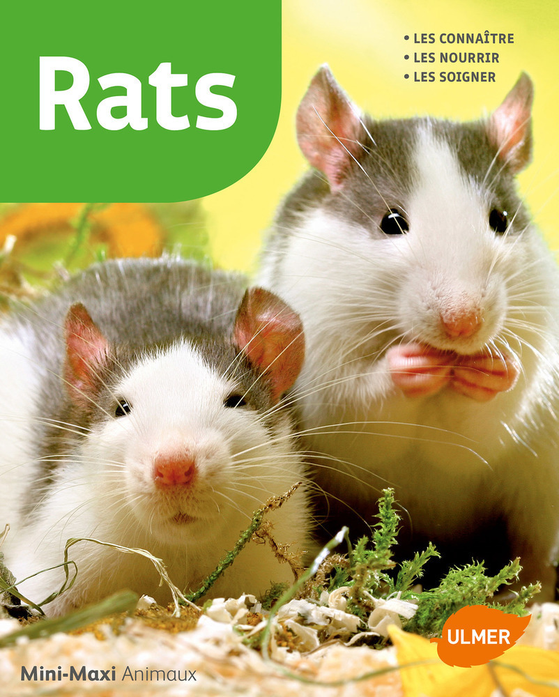 Livre 'Rats' : les connaître, les nourrir, les soigner