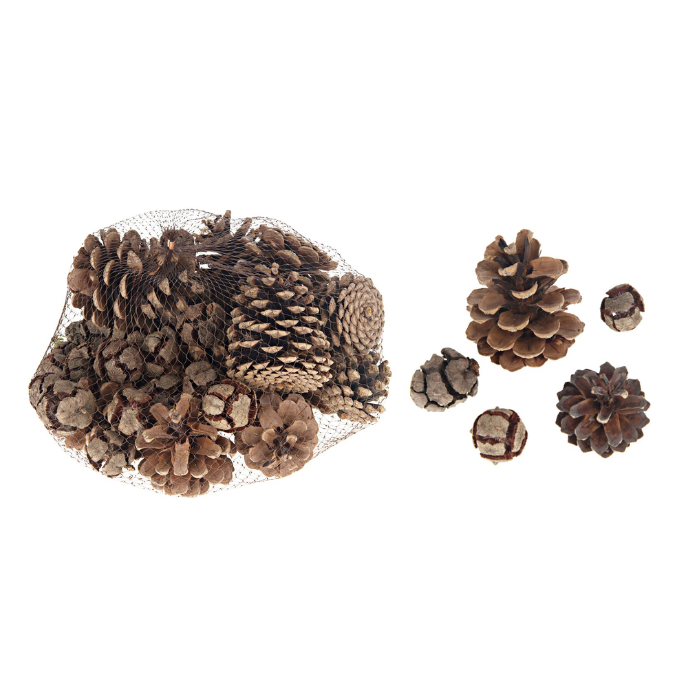 Filet Pomme de pin - 400gr