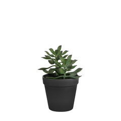 Plante artificielle : Pot succulente H.17xD.15cm