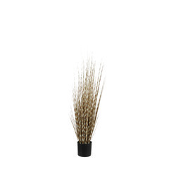 Plante artificielle : Herbe marron H.90xD.12,5cm