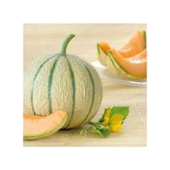 Melon hyb F1 Arisona sachet blanc 0.2 g