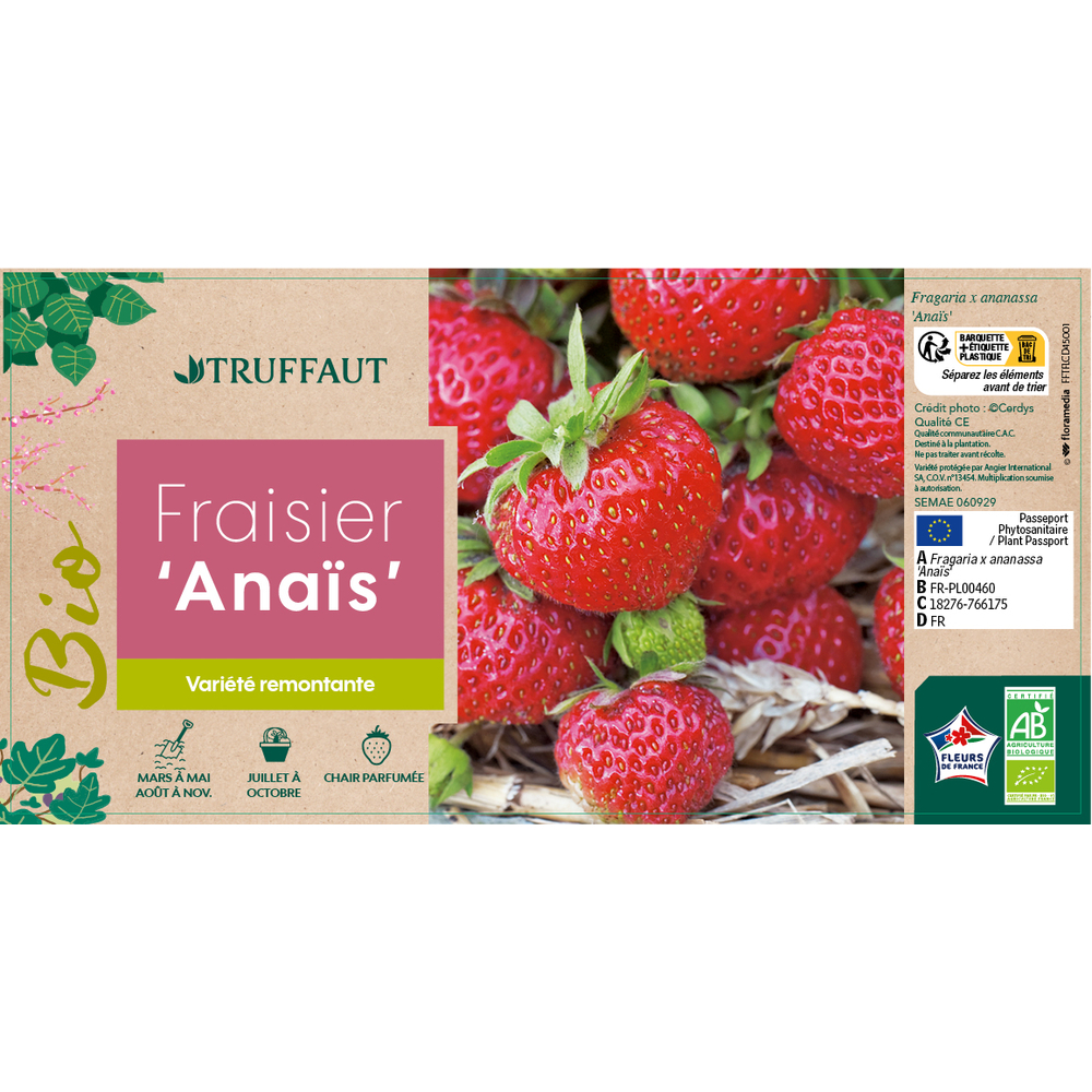 FRAISIER ANAIS AB RN-(766175)