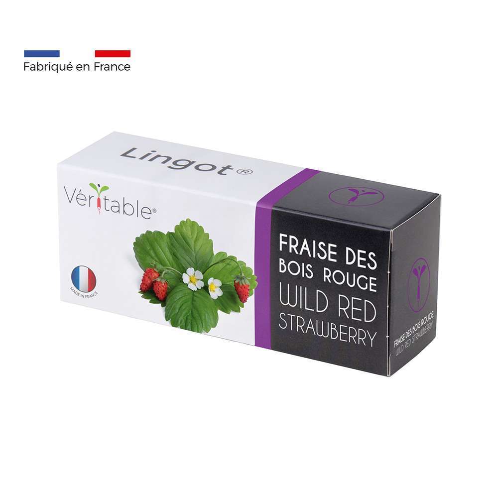 Recharge lingot® de fraise des bois rouge - pour potager Véritable®
