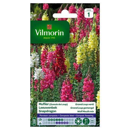 Vilmorin - Muflier Grand loup