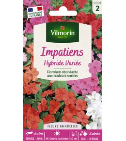 IMPATIENS HYBRIDE VAR. VL FLS2-(771491)