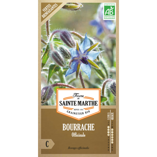 BOURRACHE OFFICINALE-(773025)