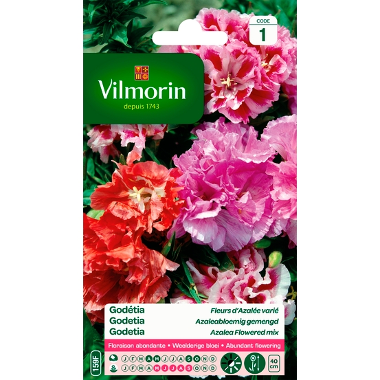 Vilmorin - Godetia DBL FL Azalée Mix