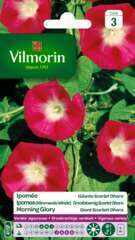 Vilmorin - Ipomee Scarlet Ohara