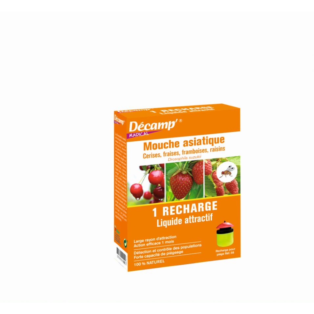 ATTRAC MOUCHE ASIATIQUE 1 REC-(776555)