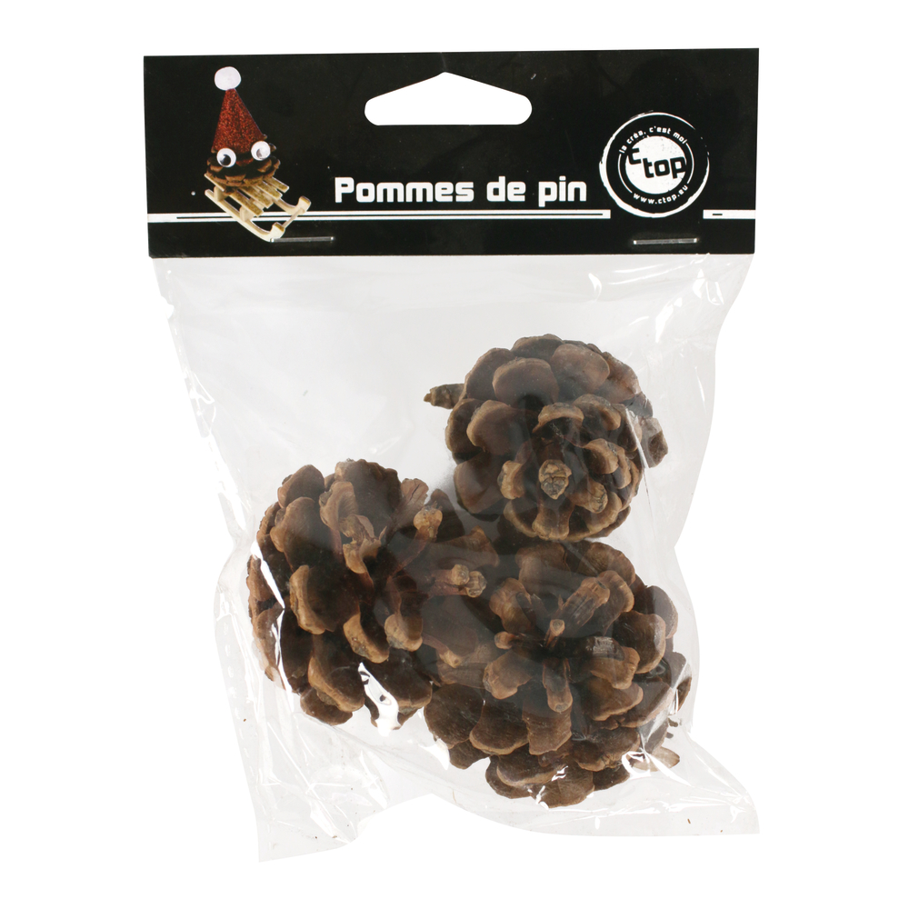 POMME DE PIN 5.5 CM X 3PCS-(782327)