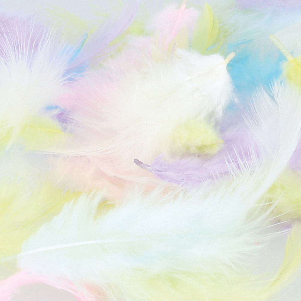 PLUMES PASTEL-(782796)