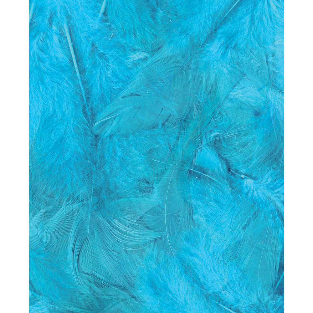 PLUMES TURQUOISE 3GR-(782798)