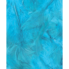 PLUMES TURQUOISE 3GR-(782798)