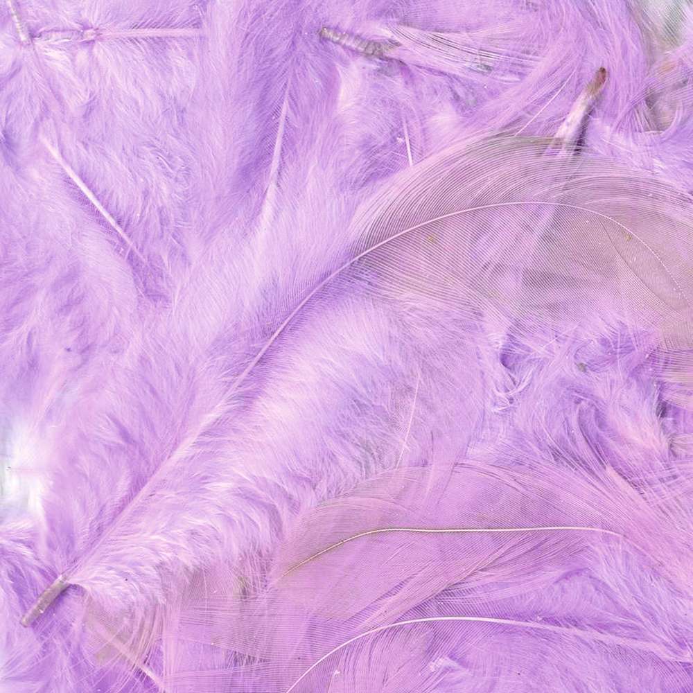 Plumes Colorees Mauve 3g Truffaut