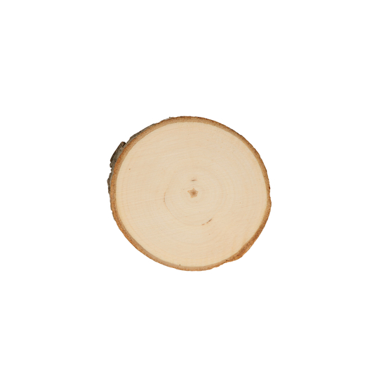 DISQUES PEUPLIER 6.5CM-(782836)