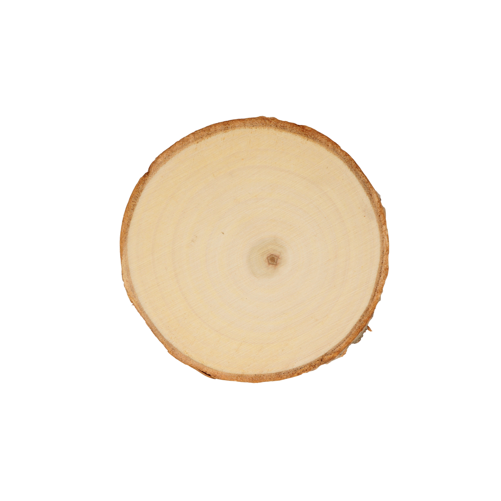 DISQUES PEUPLIER 11.5CM-(782837)