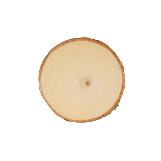 DISQUES PEUPLIER 11.5CM-(782837)