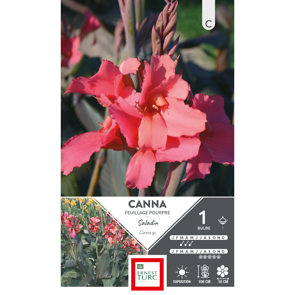 Canna Haut Saladin I X1