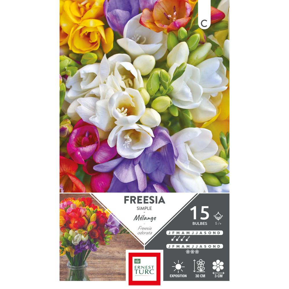 FREESIA SIMPLE MELANGE 5/+ x15-(784136)