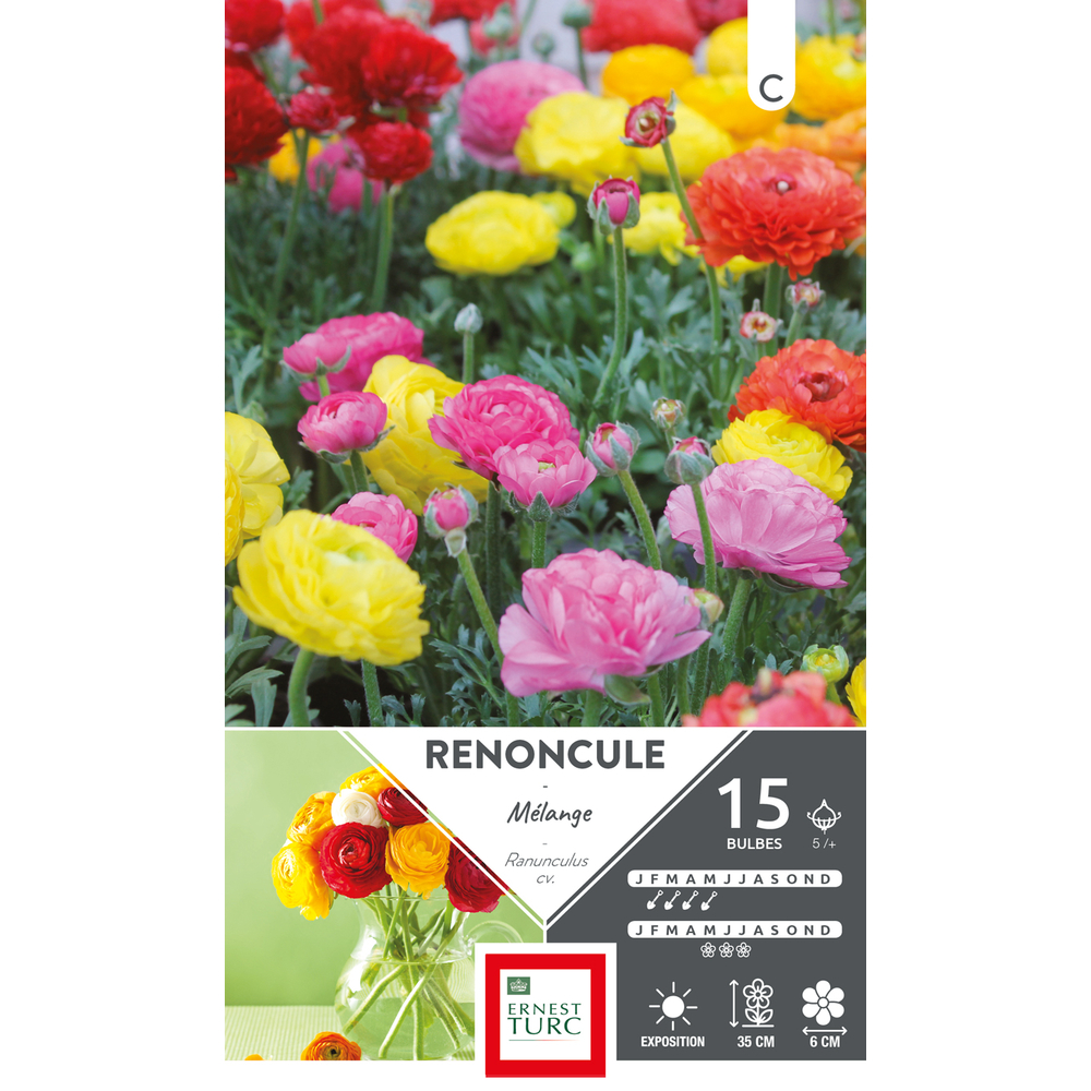 RENONCULE MELANGE 5/+ x15-(784141)