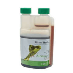 Airways Gold : Complément naturel pour la santé respiratoire - 500ml