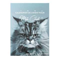 Calendrier De L Avent Chat Truffaut Calendrier De L Avent Chat Truffaut