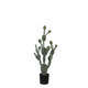 Cactus en pot, 55x112 : noir