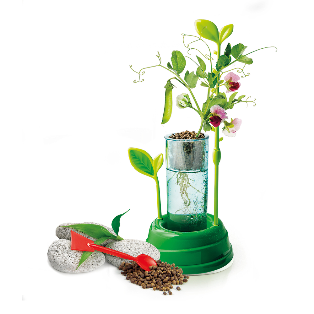 Coffret botanique et hydroponie