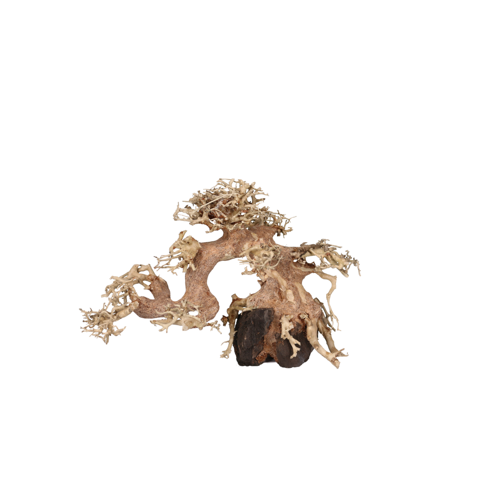 AQUAVIE BONSAI NATUR PM-(785547)