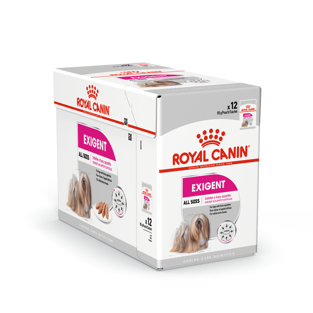 Sachet exigent mousse - 12x85g