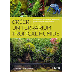 Créer un Terrarium tropical humide