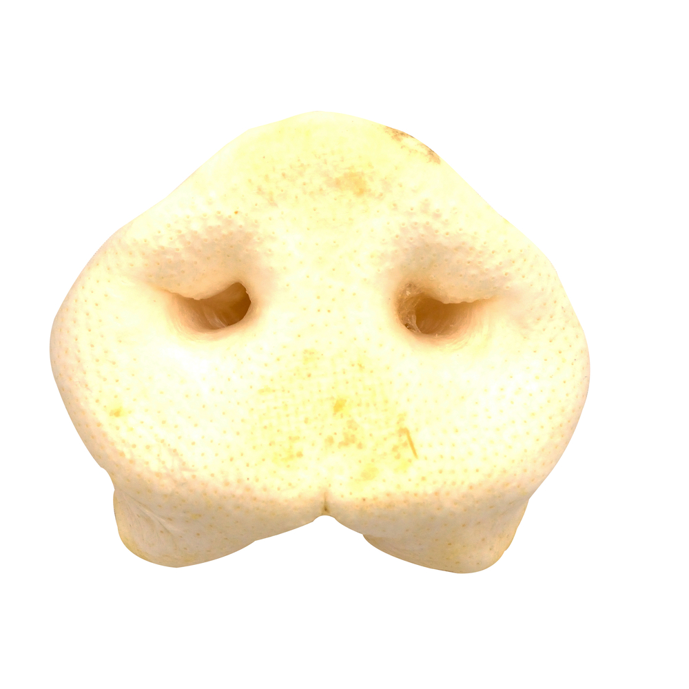 NEZ PORC SOUFFLE VRAC PCE-(786701)