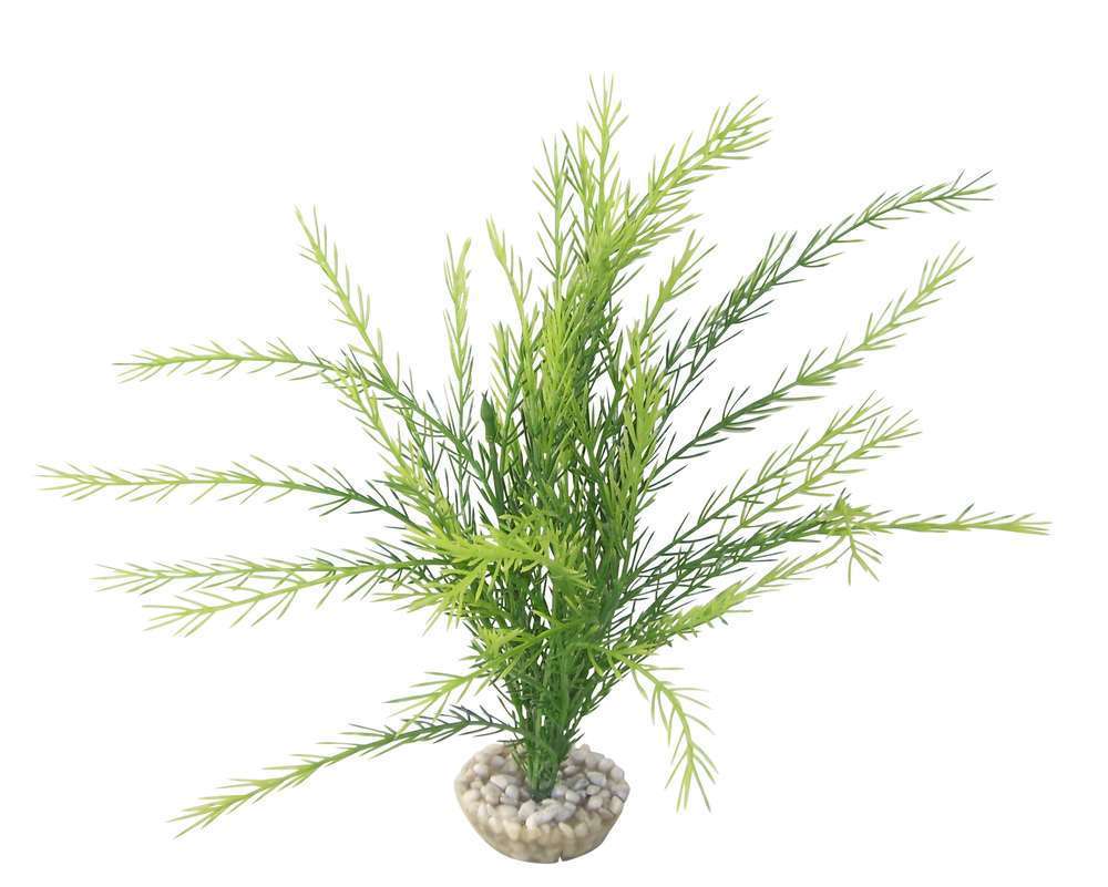 Plante artificielle aquariumÂ : Rotala, 30cm