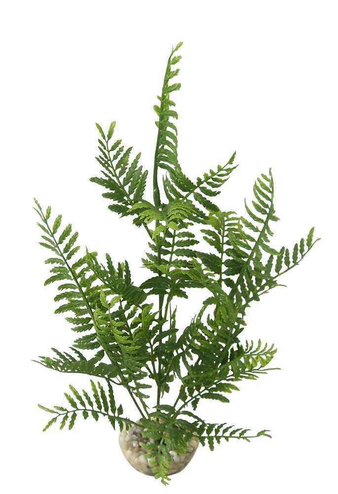 Plante artificielle aquariumÂ : Bolbitis, 33cm