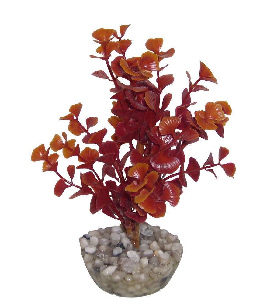 Plante artificielle aquariumÂ : Ledwiga, 17cm