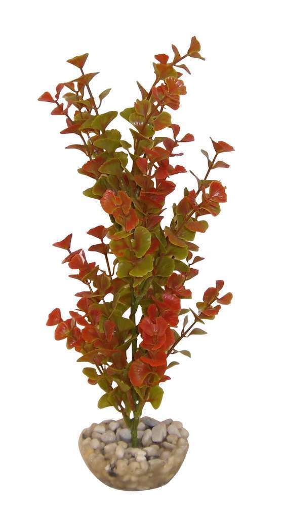Plante artificielle aquariumÂ : Ledwiga, 24cm