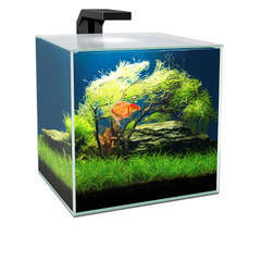 Aquarium cube 15 L led