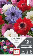 Bulbes d'anemones doubles 'Sainte Brigitte' - x15 Ernest Turc | Truffaut