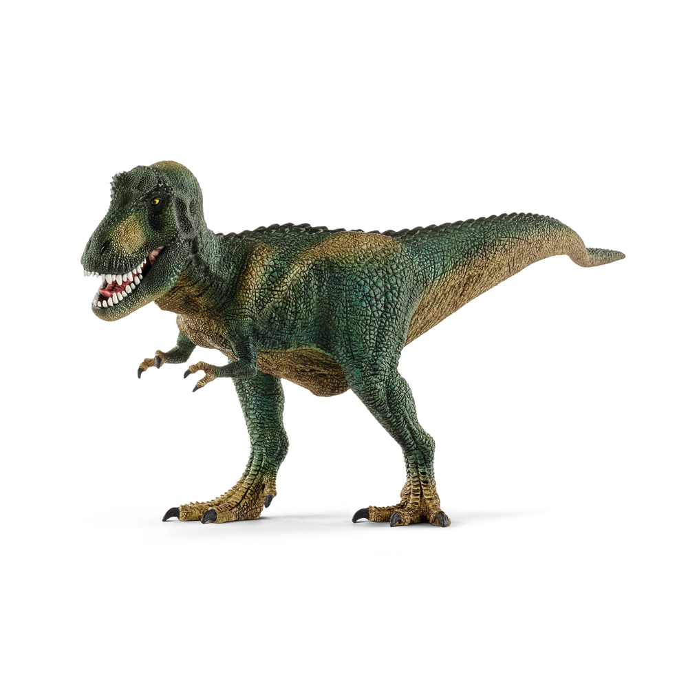 TYRANNOSAURE REX-(793591)