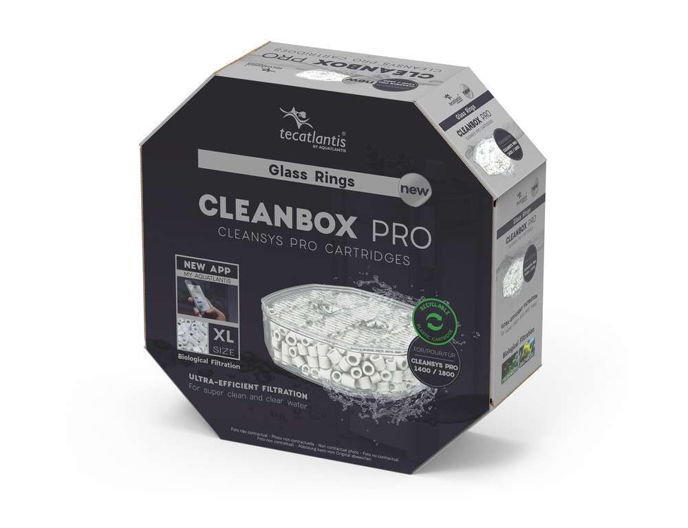 GLASS RINGS PRO XL-(793935)