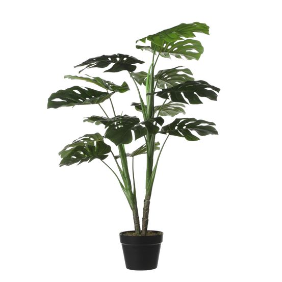 Plantes monstera en pot H.100xD70cm
