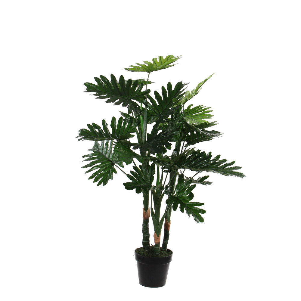 Plantes Philodendron en pot H.100xD.70cm