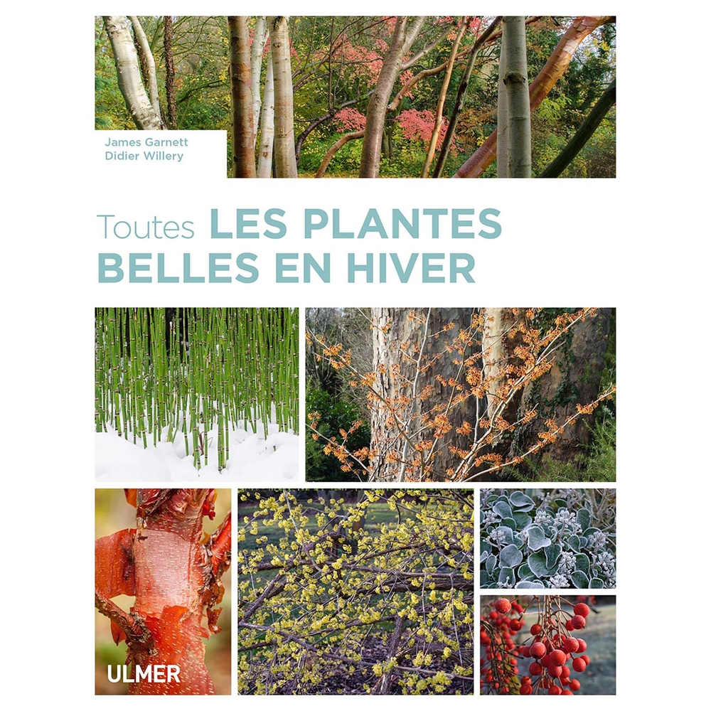 TTES LES PLANT BELLES EN HIVER-(798104)