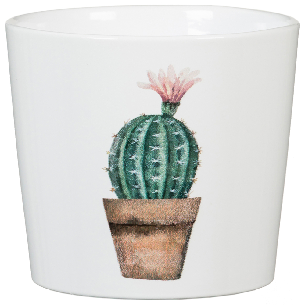 CACHE-POT 870 CACTUS GARDEN D7-(801641)