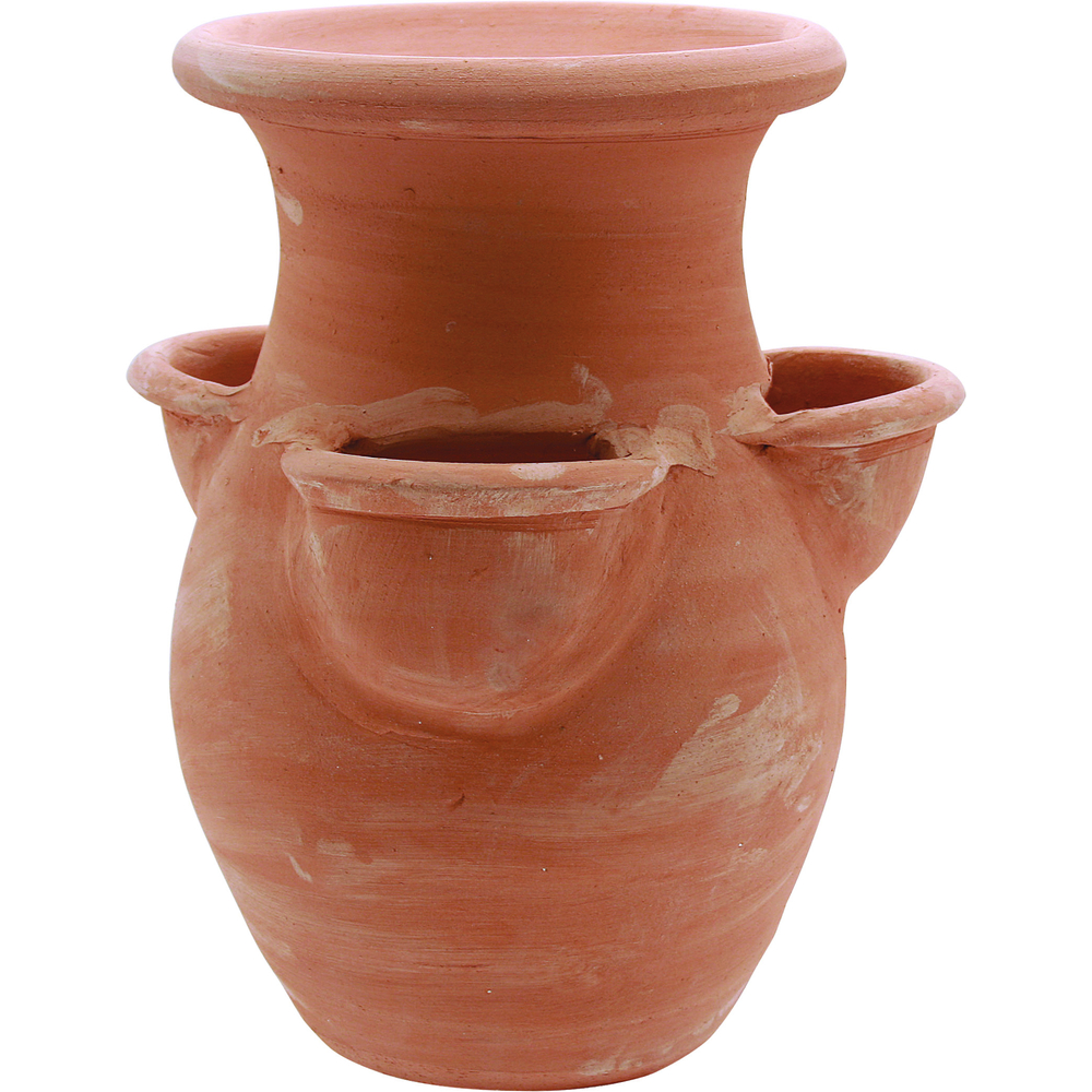 FRAISIER UMBRIA 3P D25H40 TC-(803719)