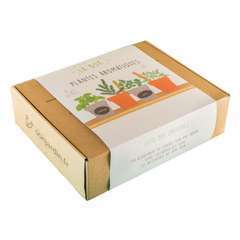 Box de jardinage spéciale Plantes Aromatiques